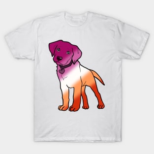 Labrador - Lesbian Pride! T-Shirt